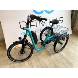 Tricycle électrique evasion hot sale occasion