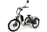 Tricycle à assistance électrique Gris - Modèle Evasion de la marque Damius