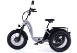 Tricycle Fatbike