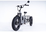 Tricycle Fatbike Essentiel