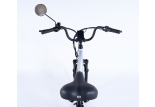 Poste de pilotage du tricycle adulte Essentiel