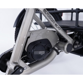 Tricycle adulte électrique 