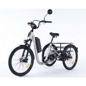 Tricycle adulte électrique 
