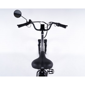 Poste de pilotage du tricycle pour senior Essentiel