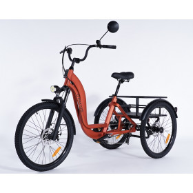 Tricycle stable pour adulte Damius ESSENTIEL pour usage intersite