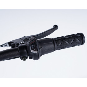 Tricycle adulte Damius ESSENTIEL non électrique poignée tournante changement de vitesses