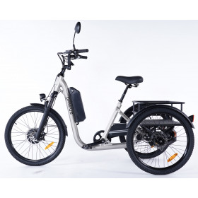Tricycle électrique adulte Damius EVASION gris légerement champagne