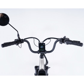 Tricycle électrique Damius EVASION roue avant Bafang 45 Nm moteur roue