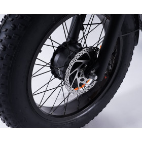 Frein avant Ø180mm tricycle électrique Fat Bike Essentiel