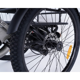 Tricycle adulte électrique 