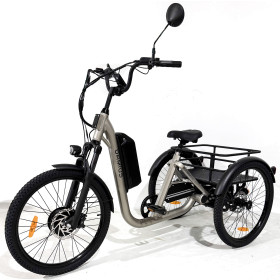 Tricycle à assistance électrique Gris - Modèle Evasion de la marque Damius