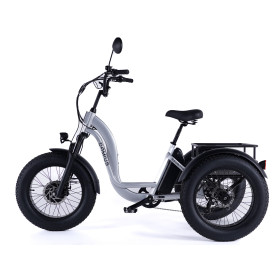 Tricycle Fatbike