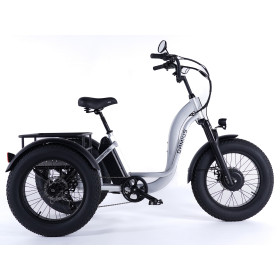 Essentiel Fatbike tricycle pour adulte