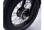 Frein avant Ø180mm tricycle électrique Fat Bike Essentiel