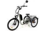 Tricycle adulte électrique 