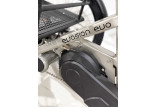 Tricycle adulte électrique 