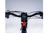 Tricycle adulte électrique 