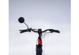Tricycle adulte électrique 