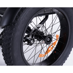 Double frein arrière du tricycle électrique pour adulte Essentiel Fat Bike