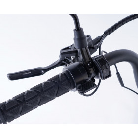 Vélo trois roues électrique robuste tout chemin pneus larges