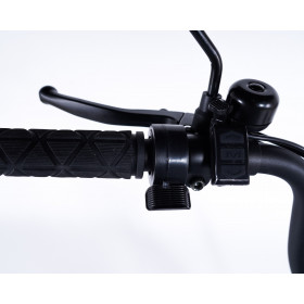 Gâchette accélérateur sur tricycle à assistance électrique pour personnes agées