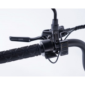 Frein hydraulique sur tricycle Evasion avec position parking