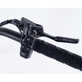 Tricycle électrique Damius EVASION EVO rétroviseur et klaxon intégrés