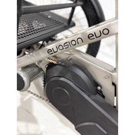 Tricycle adulte électrique 