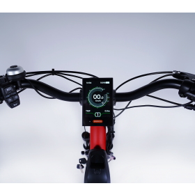 Tricycle adulte électrique 
