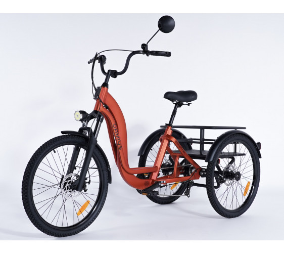 Tricycle stable pour adulte Damius ESSENTIEL pour usage intersite