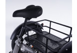 Tricycle adulte électrique 