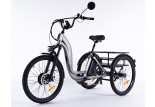 Tricycle électrique Essentiel pour adulte