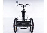 Vue arrière avec panier du tricycle adulte Essentiel
