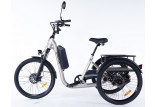 Tricycle électrique adulte Damius EVASION gris légerement champagne