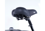 Tricycle 