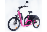 Tricycle 
