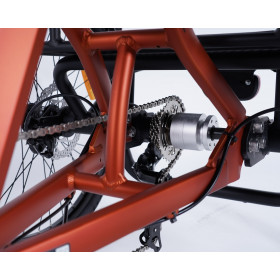 Tricycle adulte Damius ESSENTIEL 7 vitesses dérailleur Shimano et différentiel