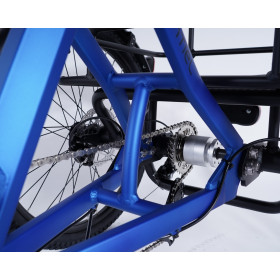 Vélo trois roues stable Damius ESSENTIEL non électrique cadre renforcé