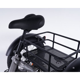 Tricycle adulte électrique 