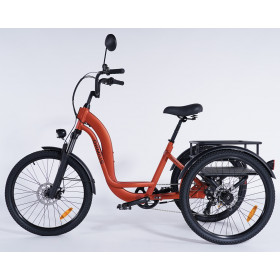 Vélo 3 roues adulte Damius ESSENTIEL non motorisé parfait pour une utilisation en entrepôt