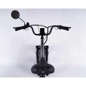 Poste de conduite du tricycle senior Essentiel Fatbike électrique