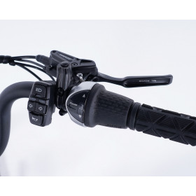 Tricycle électrique trois‑roues Damius EVASION poignée tournante Nexus 7 vitesses