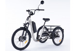 Tricycle à assistance électrique Gris - Modèle Evasion de la marque Damius