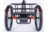 Tricycle électrique Damius EVASION feux arrière clignotants + klaxon intégré