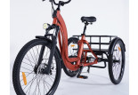 Tricycle 3 roues Damius ESSENTIEL non électrique roue 24 pouces