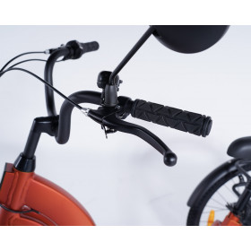 Tricycle adulte Damius ESSENTIEL version urbaine stable et confortable