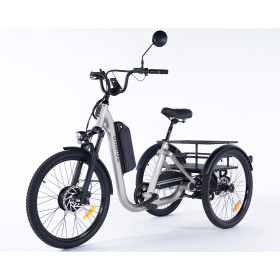 Tricycle à assistance électrique Gris - Modèle Evasion de la marque Damius