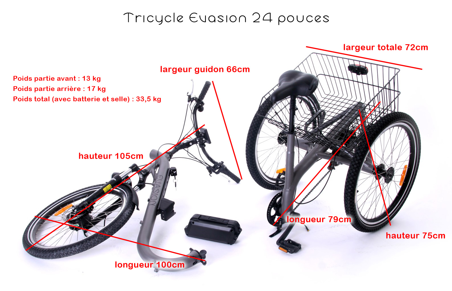 Paupières-Pousse-pousse électrique 36V 250W, tricycle pour