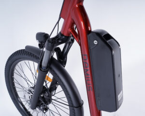 Tricycle adulte électrique Damius EVASION batterie Samsung 21700 amovible Tricycle adulte électrique Damius EVASION batterie Samsung 21700 amovible