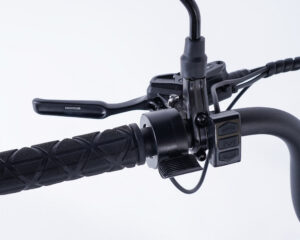 Frein hydraulique sur tricycle Evasion avec position parking Frein hydraulique sur tricycle Evasion avec position parking